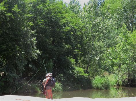 2012, June 10-15, Sedona 117 | Fly fishing at Oak Creek. | Flickr