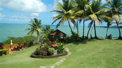 Tocopita - Hosanna Toco Resort | Tobago hotels, Caribbean islands, Resort