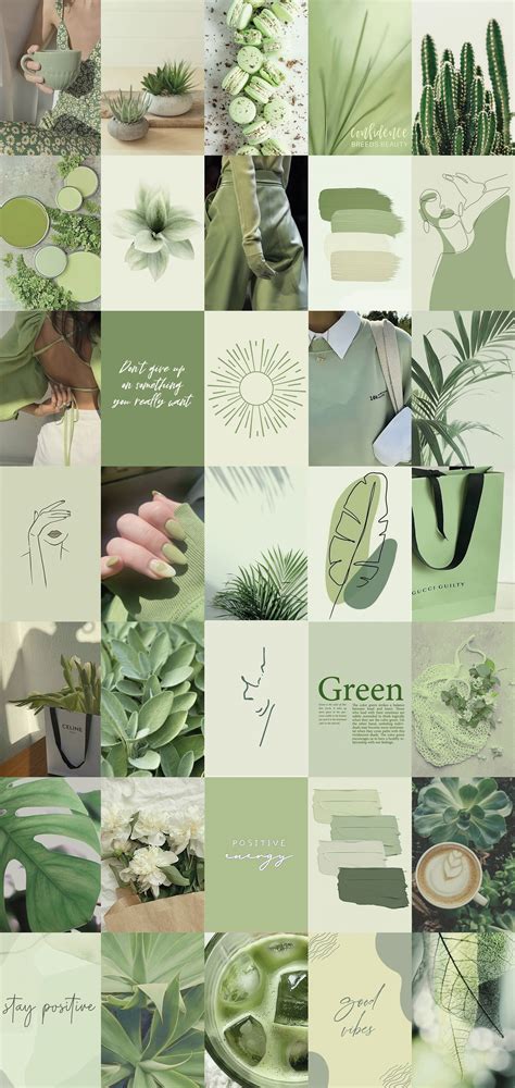 Wallpaper Aesthetic Sage Green Sage Green Aesthetic Collage Wallpaper ...