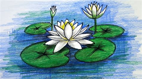 How to Draw Water lily / National flower of Bangladesh Step by Step ...