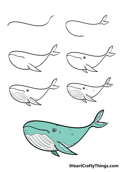 Whale Drawing - How To Draw A Whale Step By Step!