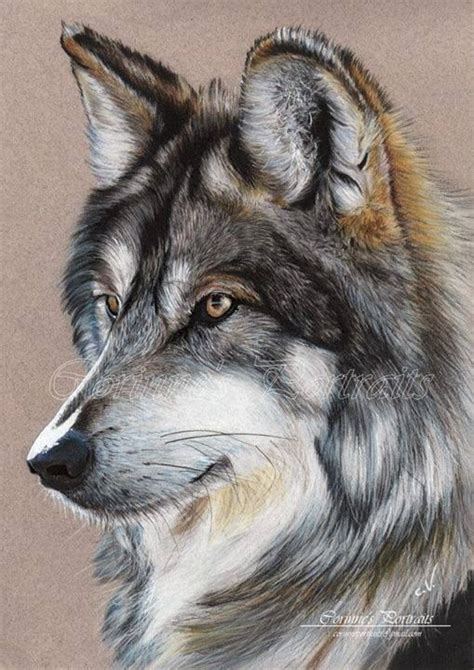 Grey wolf | Peinture de loup, Dessin de loup, Art des animaux sauvages