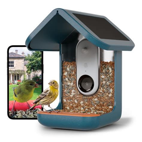 BIRD BUDDY® Original Smart Bird Feeder with Camera Solar Powered. High ...