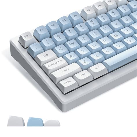 Buy XVX keycaps 60 Percent - Custom PBT Keycaps, 110 Keys Double ...