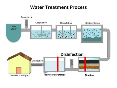 Steps of water purification process - Online Biology Notes