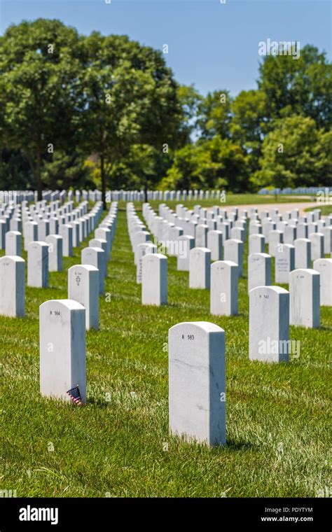 View of headstones in Camp Butler National Cemetery, American military ...