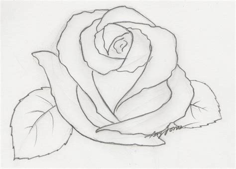 Rose Pencil Drawing Step By Step - bestpencildrawing