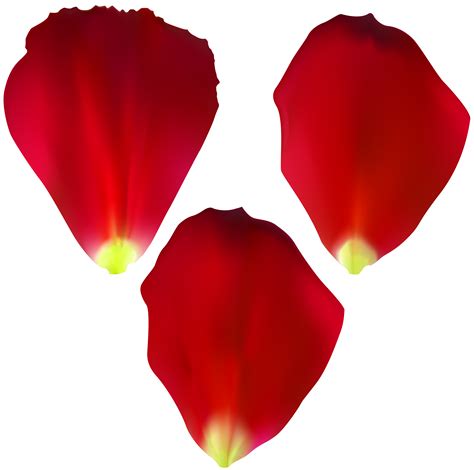 Free Flower Petals Cliparts, Download Free Flower Petals Cliparts png ...