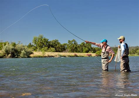 Lower Sacramento River - Guided Fishing