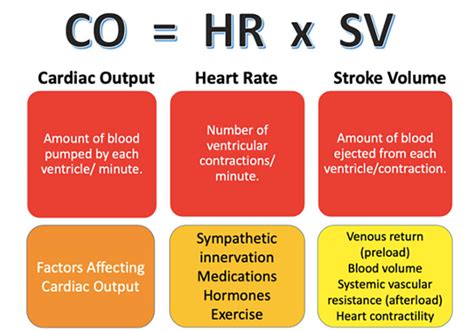 Cardiac Output Flow Chart