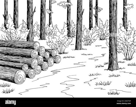 Logs cut in the forest graphic black white landscape sketch ...