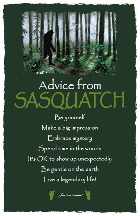 [IMAGE] Advice from Sasquatch | Sasquatch, Bigfoot birthday ...