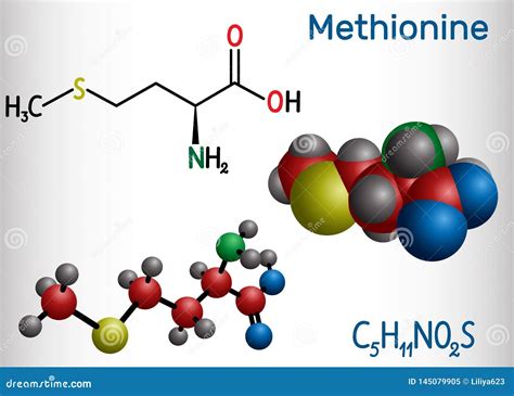 Methionine Chemical Structure. Vector Illustration Hand Drawn ...