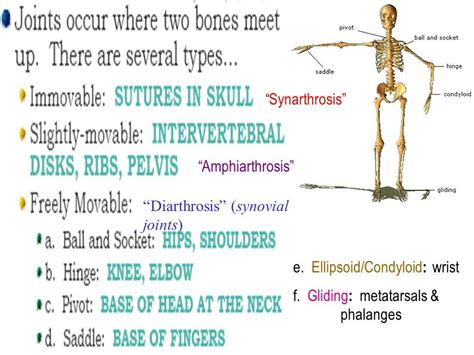 Pin on rad tec information