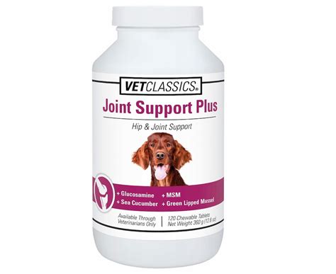 12 Best Joint Supplements For Dogs - Vetstreet | Vetstreet