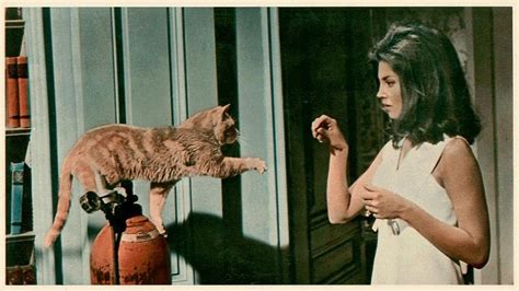 (1969) Gayle Hunnicutt promo photo: EYE OF THE CAT | Cat movie, Scary ...