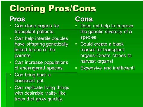 The Pros and Cons of Human Cloning: