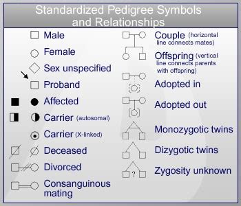 Genetic Inheritance Patterns – Michigan Genetics Resource Center