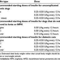 Diabetic Insulin Dosage Chart For Cats - Best Picture Of Chart Anyimage.Org