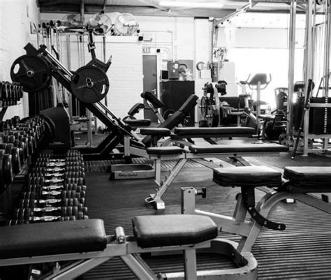 Home - The Bodybuilding and Fitness Gym