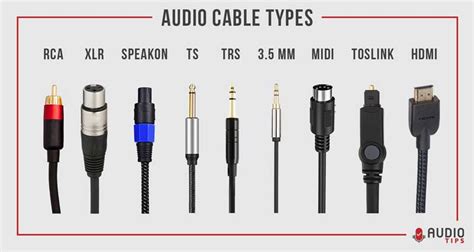 11 Audio Cable Types Explained (2024 With Infographic) - Audio Tips