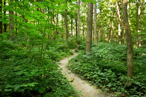 The greens of Lawrence Creek Trail at Fort Benjamin Harrison State Park.