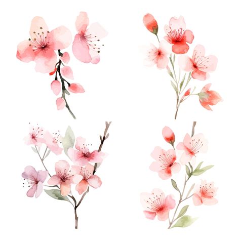 Premium Vector | Set of watercolor cherry flower white background