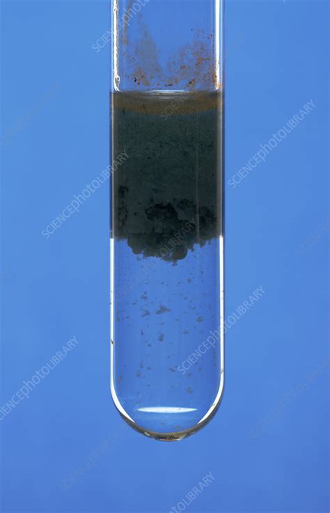 Iron (II) Hydroxide Precipitate - Stock Image - C027/9456 - Science ...