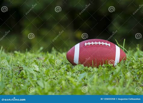 American Football on the Field with Green Grass Stock Photo - Image of ...