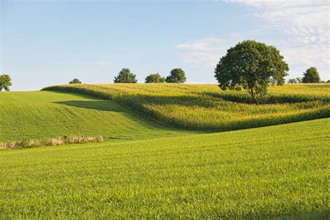 Free Images : natural landscape, grassland, field, nature, green ...