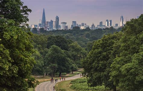 The beautiful Richmond park. : r/london