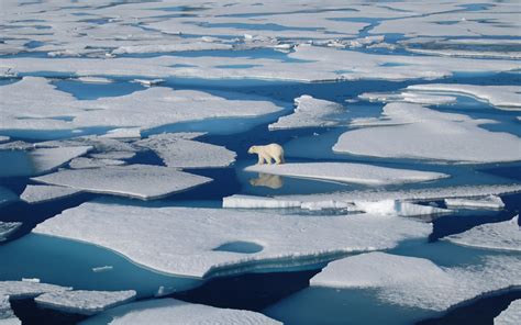 Greenland’s Ice Sheet Is Melting – David Mcdonald – Medium