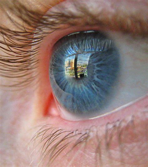 Eye Reflection | Reflection out the window through my husban… | Flickr