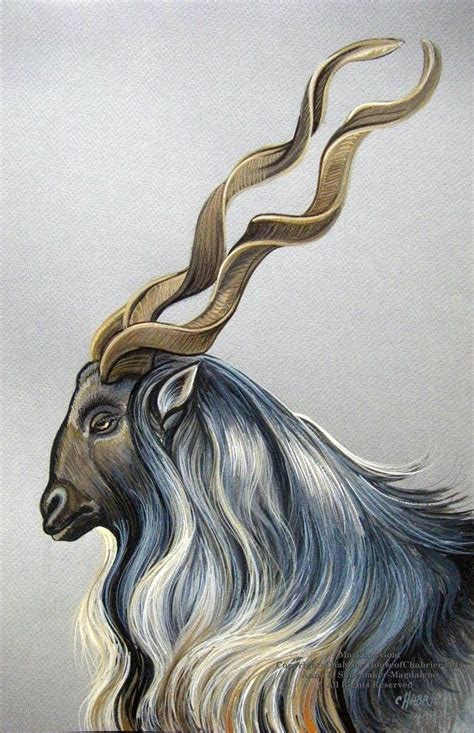 Markhor Goat by HouseofChabrier | Markhor, Goat art, Big cats art