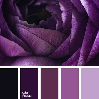 dark purple and lilac | Color Palette Ideas