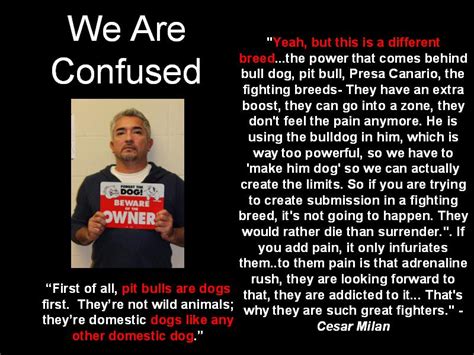 Cesar Millan Quotes. QuotesGram