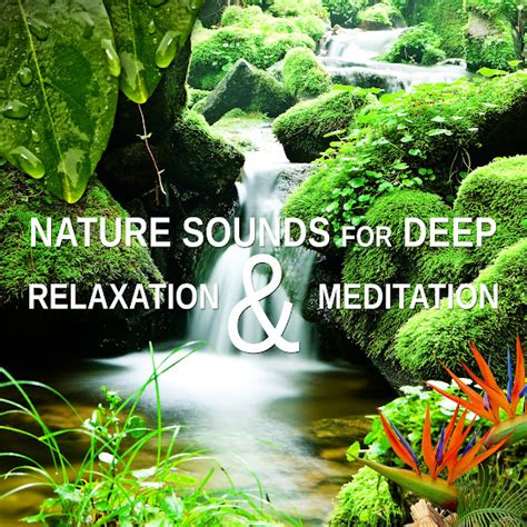 Nature Sounds for Deep Relaxation & Meditation: Music to Quiet Your ...