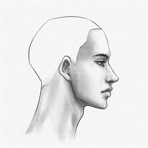 How To Draw Faces From The Side