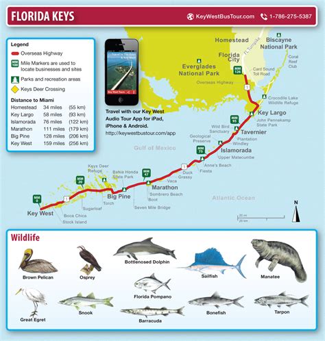 Detailed Map Of Florida Keys