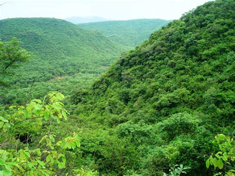 Eastern Ghats Wildlife Society