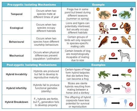 Behavioral Isolation In Biology