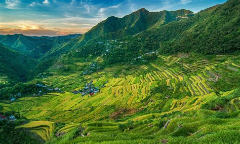 Banaue Rice Terraces Activities and Attractions | Vacationhive