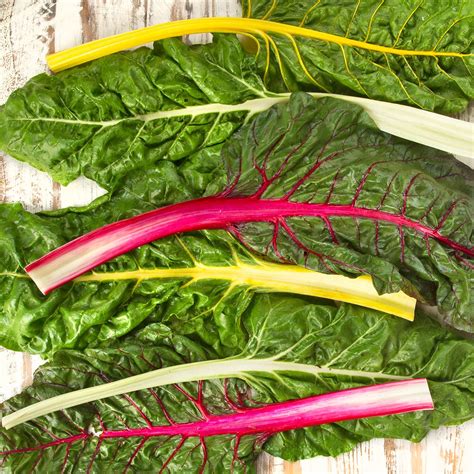 Organic Rainbow Swiss Chard | Swiss Chard | Baldor Specialty Foods