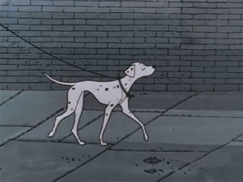 walk cycle | Tim's Animation Mentor Blog | Dog animation, Animated ...