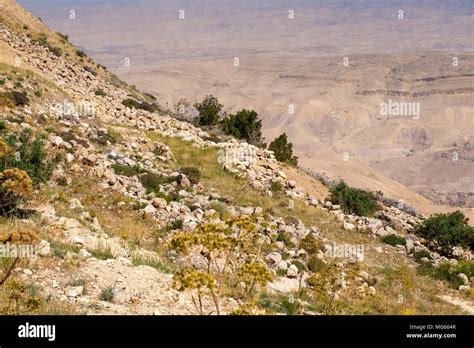 Mount Nebo, Jordan Stock Photo - Alamy