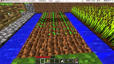 How to Plant Wheat in Minecraft - YouTube