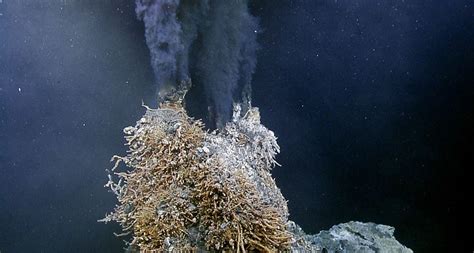 Deep-sea hydrothermal vents more abundant than thought