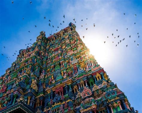 Madurai Meenakshi Temple-Timings And How To Plan Your Visit? – Iris ...