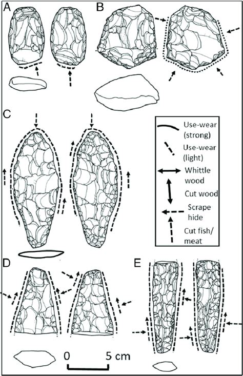 Chert stone tools used to scrape hides (A and B) and cut fish/meat ...