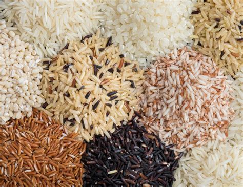 Rice varieties: which one to choose | Sparkling Life